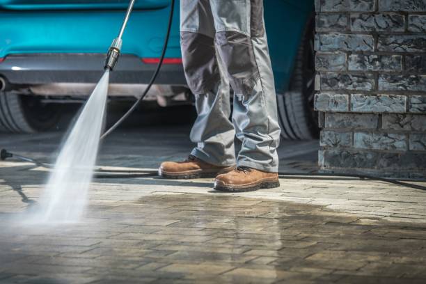 Best Animal Enclosure Cleaning  in Lindon, UT